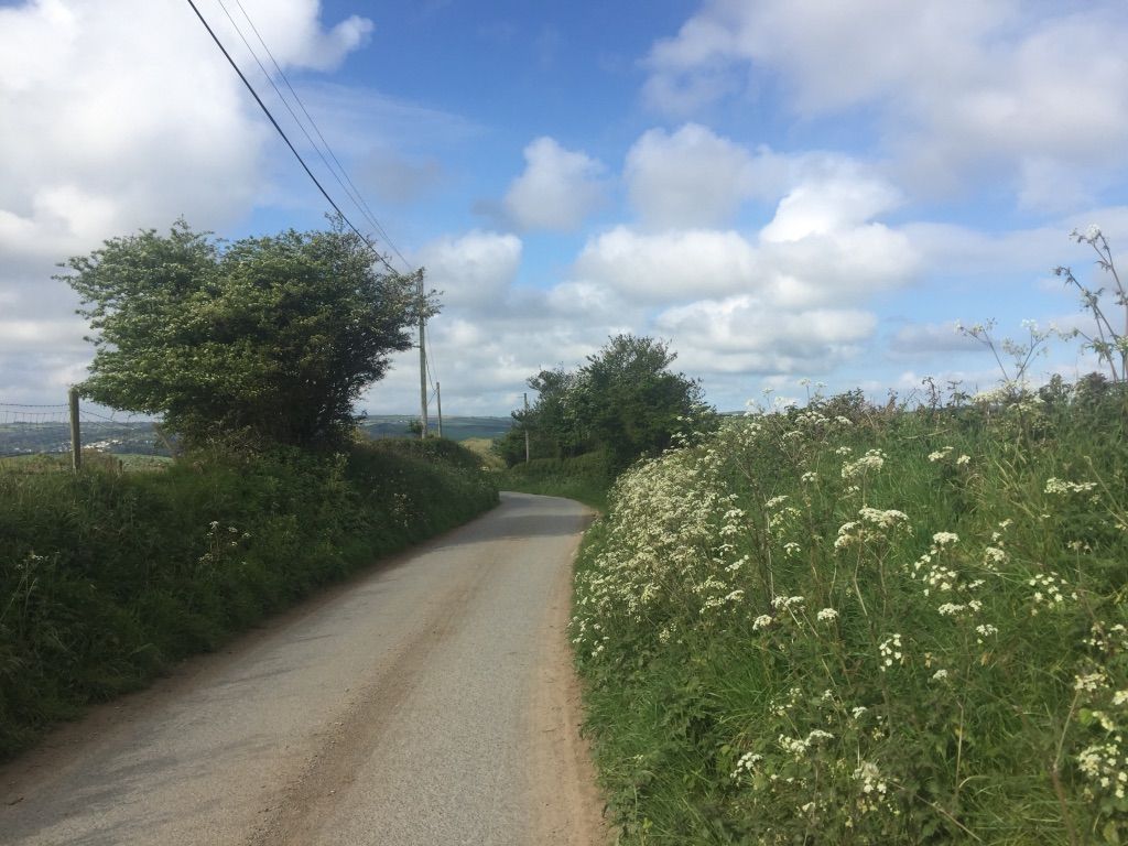 A road bends through this image, snaking slightly to the left before disappearing behind a hedgerow. On the right the foreground is taken up by a lush green hedgerow that is thick with small white wildflowers.