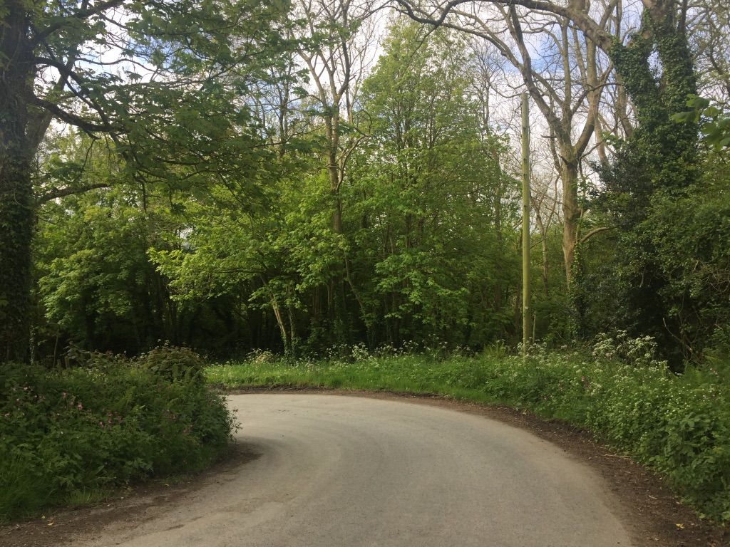 The road in the center of the image bends down to the left, curving behind a hedgrow and out of sight. There is dense green woodland surrounding the path.