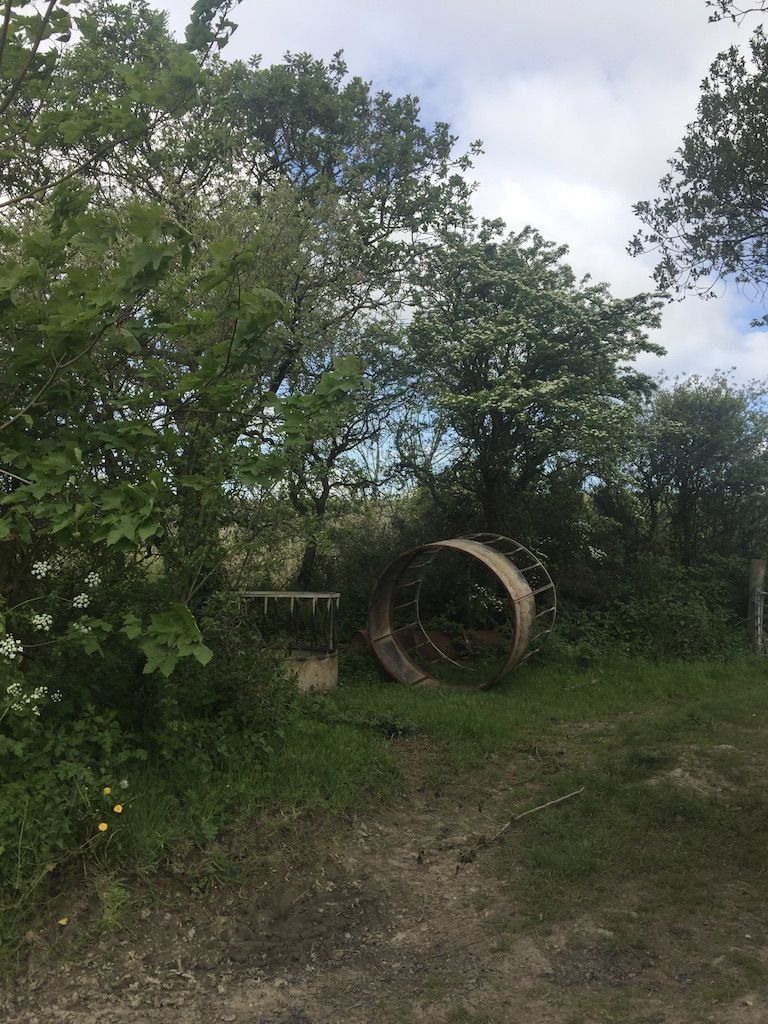The image shows two old, rusted objects sitting in a field. They look like hollow, cylindrical metal drums of sorts. They have no bottom to them though, and the top half of them is made of metal bars. They sit among lots of trees and the bigger of the two objects is turned onto its side.