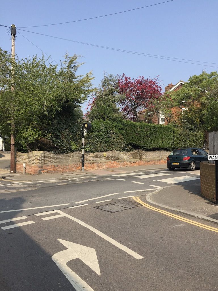This image shows part of a road. On the floor to the left of the image there is an arrow painted to inform drivers they must turn right. To the right of the image there is a zebra crossing. A black car can be seen just passing it. In the distance there is a tall tree with beautiful red blossom behind a manicured hedge.