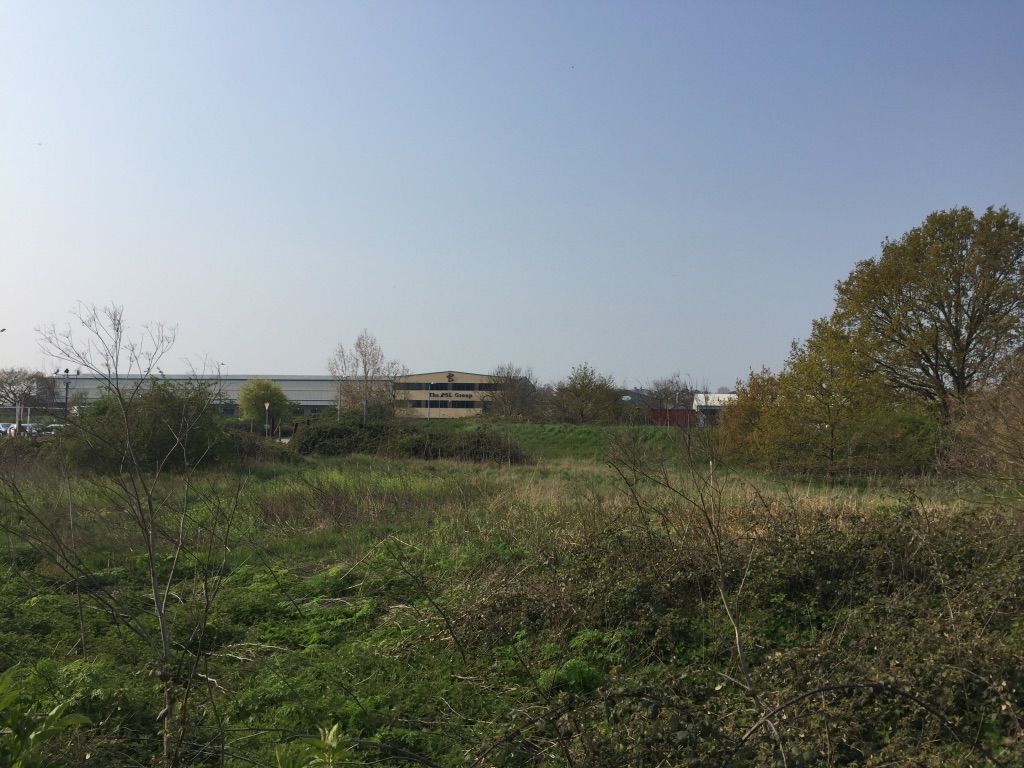 In the foreground of the image is a green, grassy verge. The area looks quite dry, and the small trees in front of the verge are without leaves. In the distance, beyond this verge we can see a beige warehouse–like building. To its left is light grey warehouse.