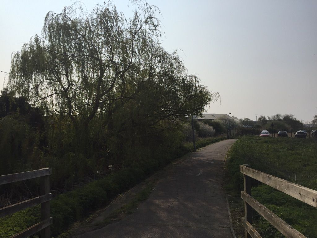 This image shows a concrete path leading off to the right, disappearing behind a small grassy hill. We can see that the photo has been taken while standing on a bridge, two wooden railings on either side of the image alognside the path. To the left is a tall willow tree, and in the background to the right are five or six parked cars.
